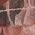 Color Swatch - Pink