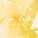 Color Swatch - Yellow