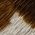 Color Swatch - Brown/White
