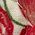 Color Swatch - Zara Floral Linen