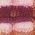 Color Swatch - Floral