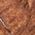 Color Swatch - Brown