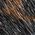 Color Swatch - Leopard