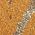 Color Swatch - Brown