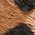 Color Swatch - Animal