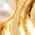 Color Swatch - Gold