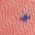 Color Swatch - Coral