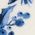 Color Swatch - Blue