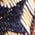 Color Swatch - Blue
