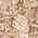 Color Swatch - Tan