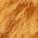 Color Swatch - Brown
