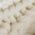 Color Swatch - Ivory