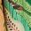 Color Swatch - Green Multi.