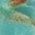 Color Swatch - Turquoise/Gold