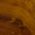 Color Swatch - Brown