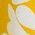 Color Swatch - Yellow