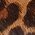Color Swatch - Animal