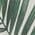 Color Swatch - Green