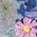 Color Swatch - Blue