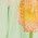 Color Swatch - Floral