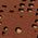 Color Swatch - Brown