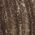 Color Swatch - Brown