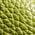 Color Swatch - Green