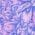 Color Swatch - Purple