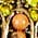 Color Swatch - Gold