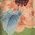 Color Swatch - Floral