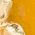 Color Swatch - Orange