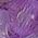 Color Swatch - Purple