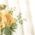 Color Swatch - Floral