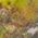 Color Swatch - Green