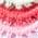 Color Swatch - Pink