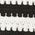 Color Swatch - Black/White