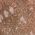 Color Swatch - Ivory
