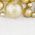 Color Swatch - White/Gold