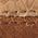Color Swatch - Brown