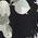 Color Swatch - Black