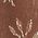 Color Swatch - Brown/Ivory