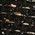 Color Swatch - Black/Gold