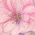 Color Swatch - Blush Multi