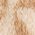 Color Swatch - Tan