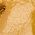 Color Swatch - Yellow