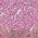 Color Swatch - Pink