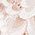 Color Swatch - Ivory