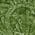 Color Swatch - Green
