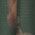 Color Swatch - Green