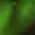 Color Swatch - Green